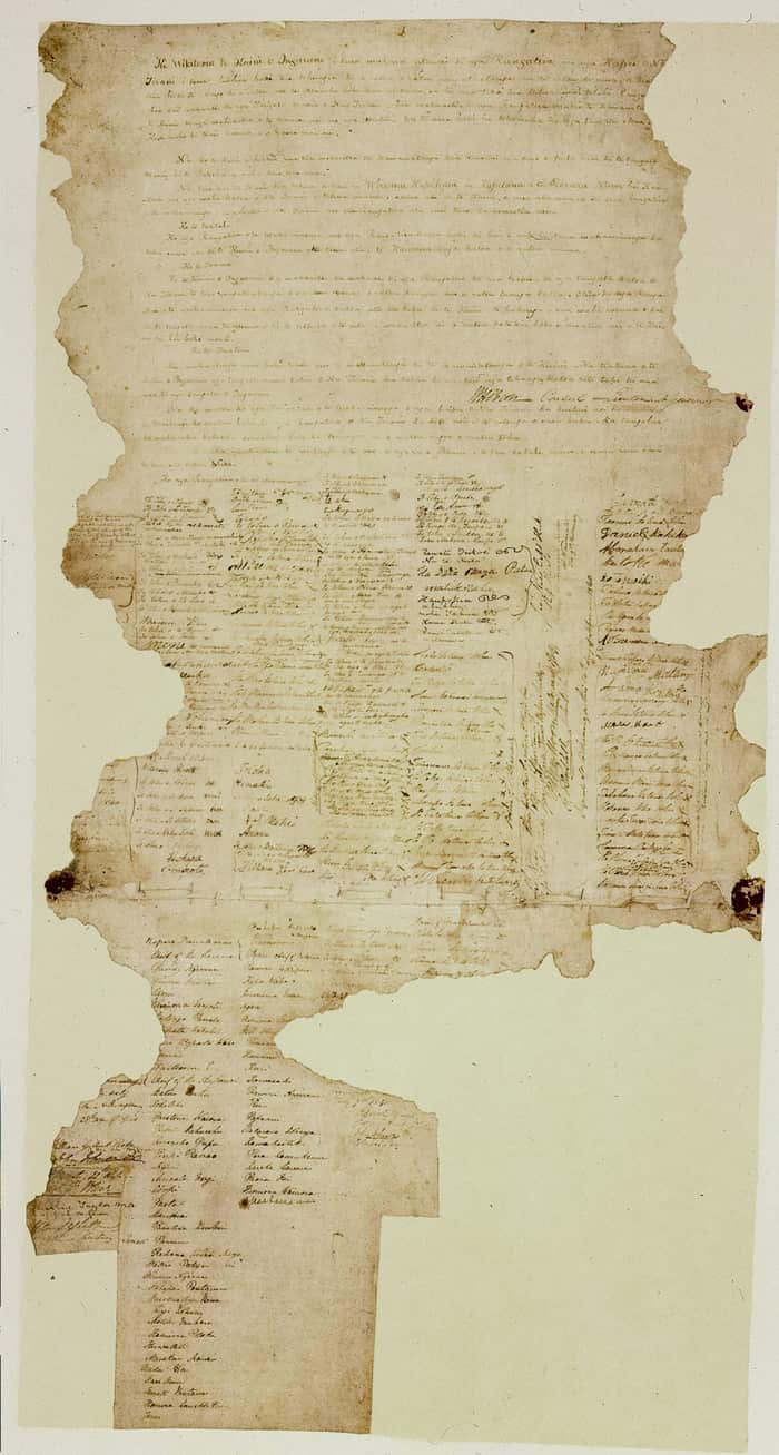 Original Treaty of Waitangi