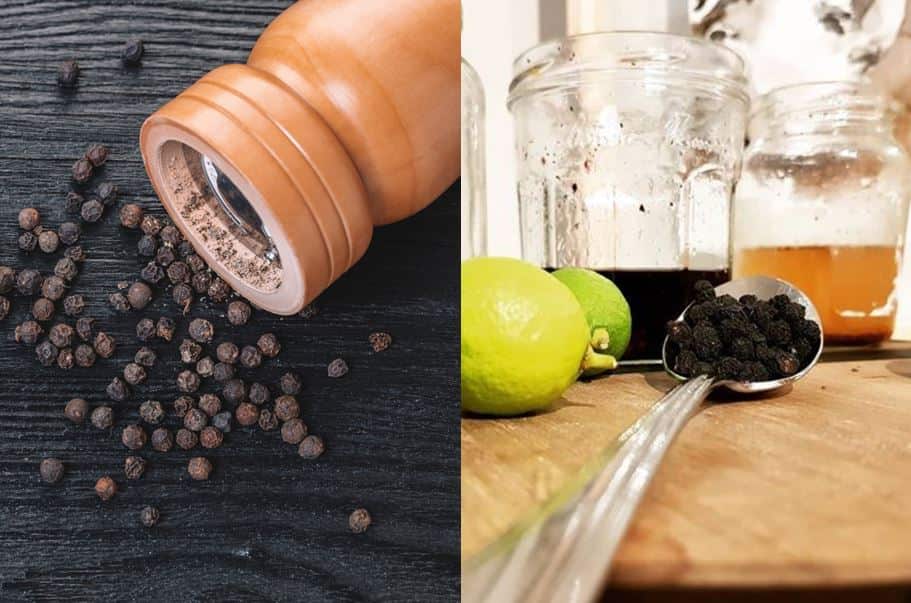 Indigenous Food On Country Kitchen Kriol Kitchen NITV Native Ingredients