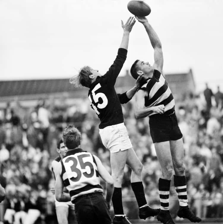 Round 9. v Fitzroy. Polly Farmer about to ruck tap to Bill Goggin at Kardinia Park, 1966.