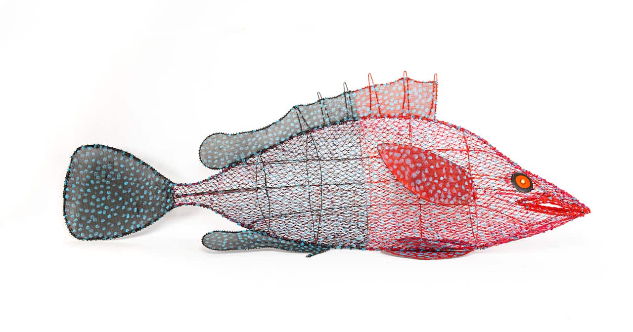 Pormpuraaw Art Centre coral trout