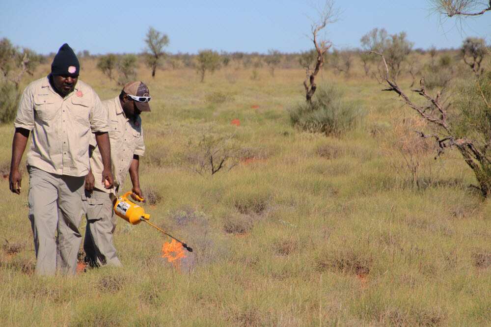 Rangers burning country to bring back new growth 