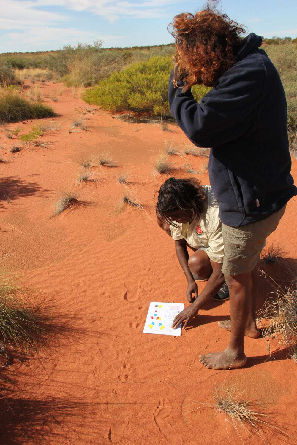 Rangers checking tracks Kanyirninpa Jukurrpa