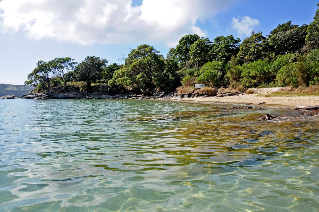 reef_beach_sydney_harbour_np_credit_kevin_mcgrath_oeh_.jpg