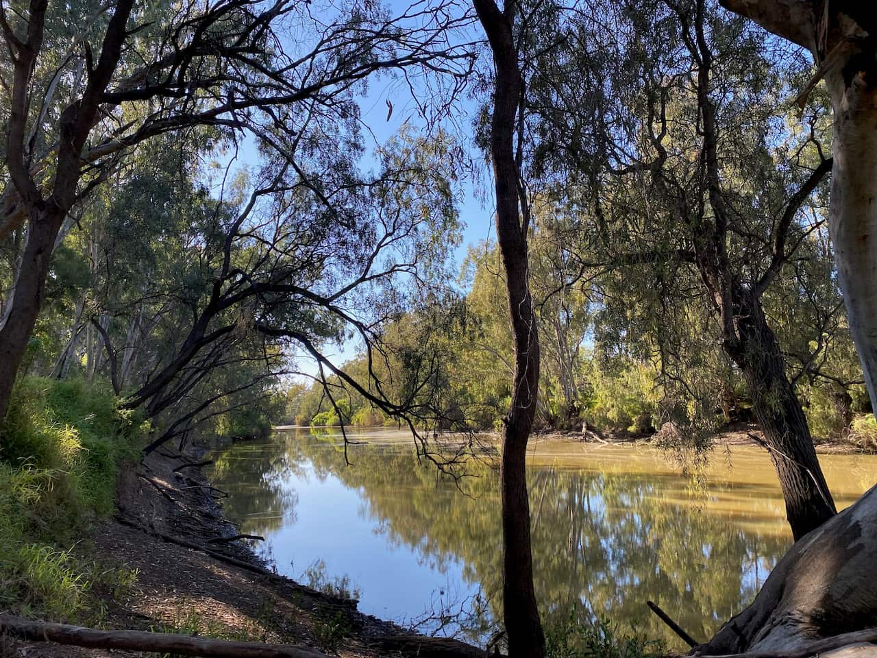 The Gwydir River where the Gomeroi man disappeared on July 10.