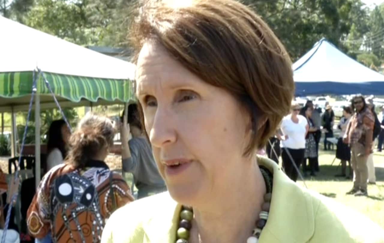 NSW Minister for Aboriginal Affairs Leslie Williams (NITV)