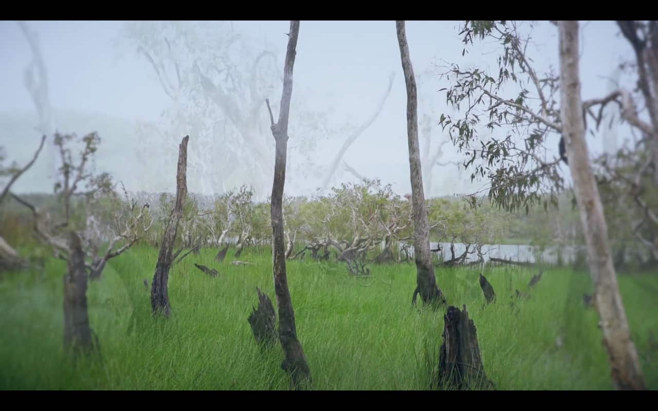 Balkurrk rain covers the land in Yirritja country