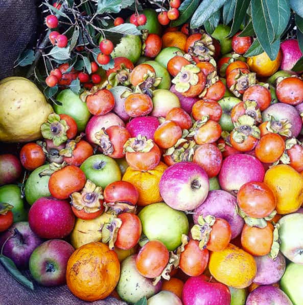 Australian Native Autumn Foods