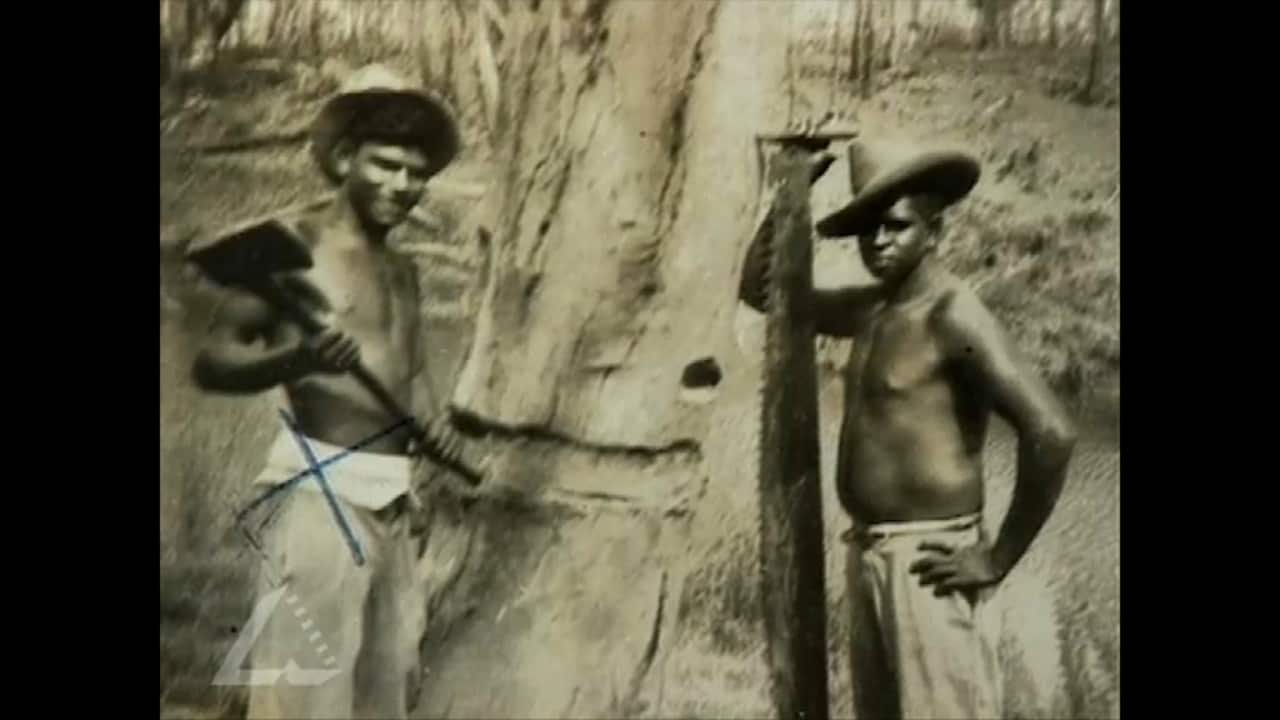 Neville bonner indigenous parliament