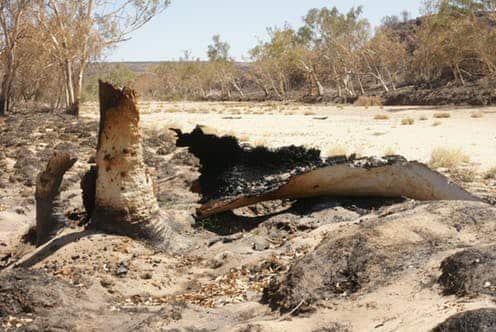 Bush Fires in Tjoritja National Park