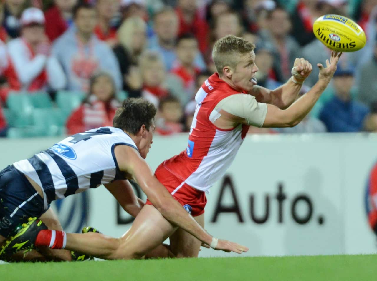 sydney_swans_daniel_hannebury.jpg