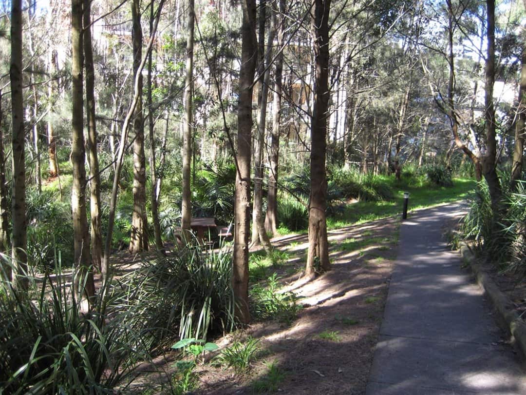 Talus Street reserve track