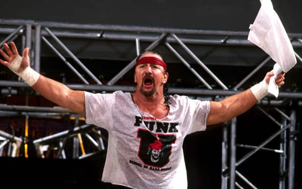Terry Funk Wrestler
