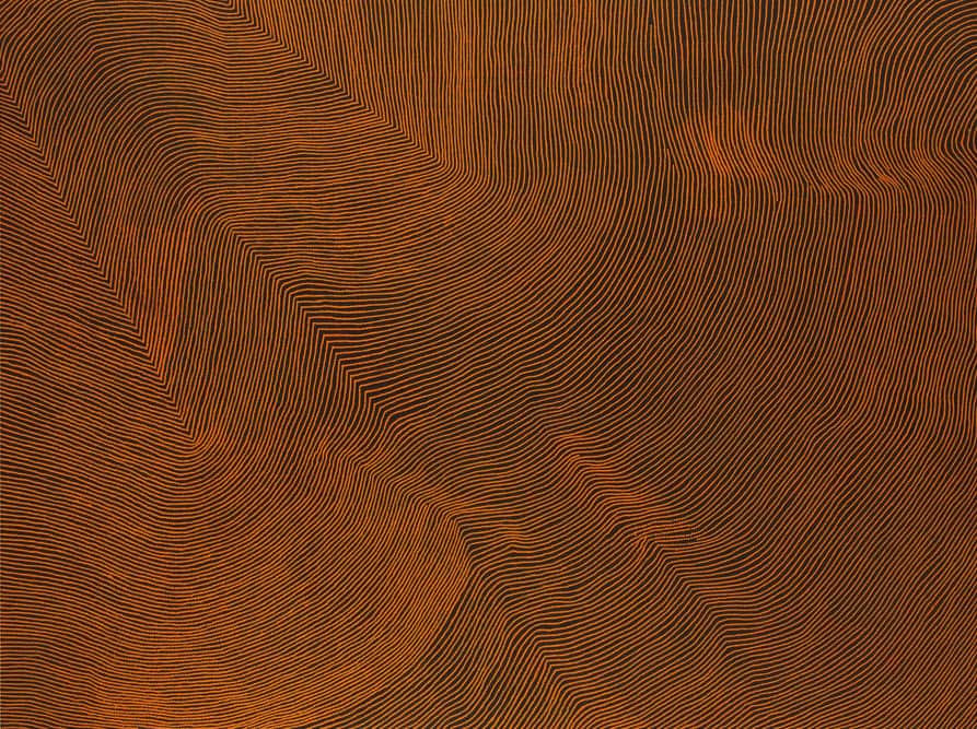 Untitled, by Warlimpirringa Tjapaltjarri