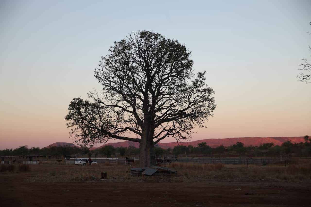 Reflections2 Tour has visited communities such as Warmun