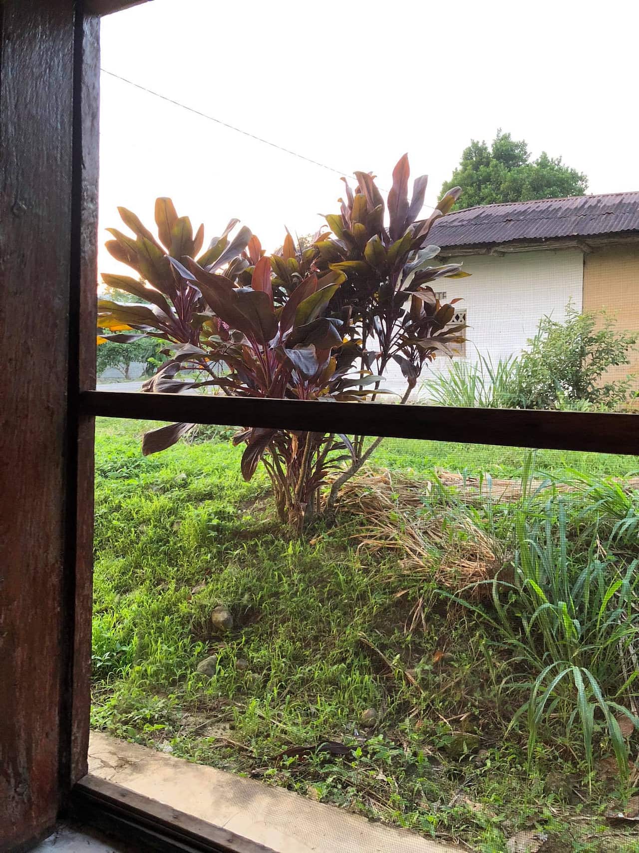 The view from Mr Munro Duncan’s hotel room. The street in the background is patrolled by armed authorities by night.