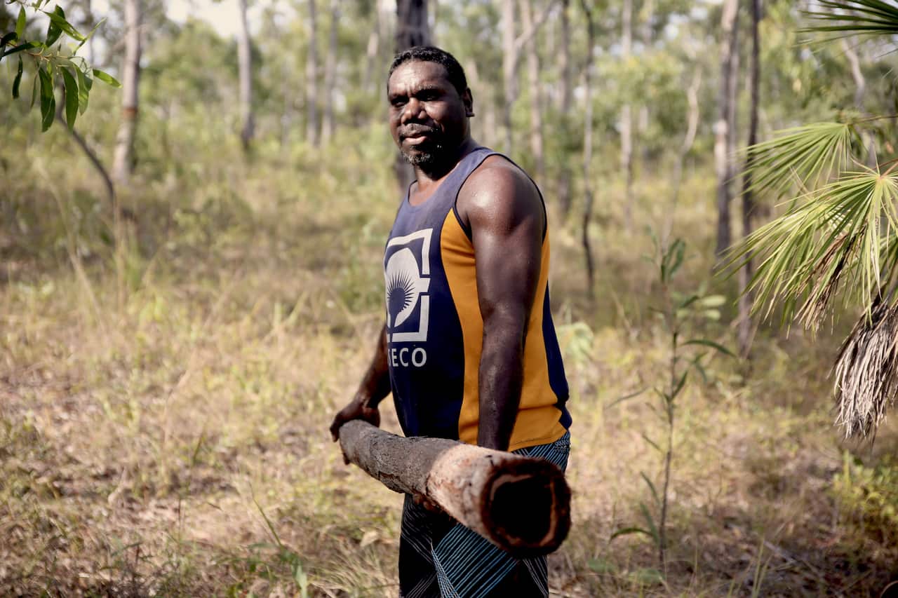 Larry Gurruwiwi holding a freshly cut Yidaki.