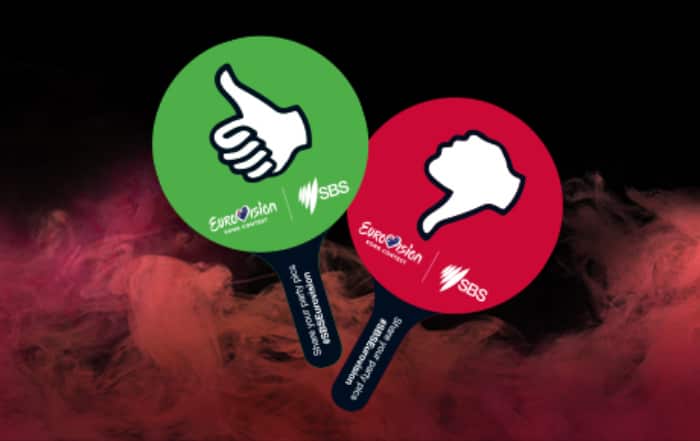 Eurovision party paddles