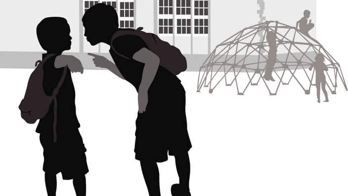 An older brother bullies his younger brother at school.