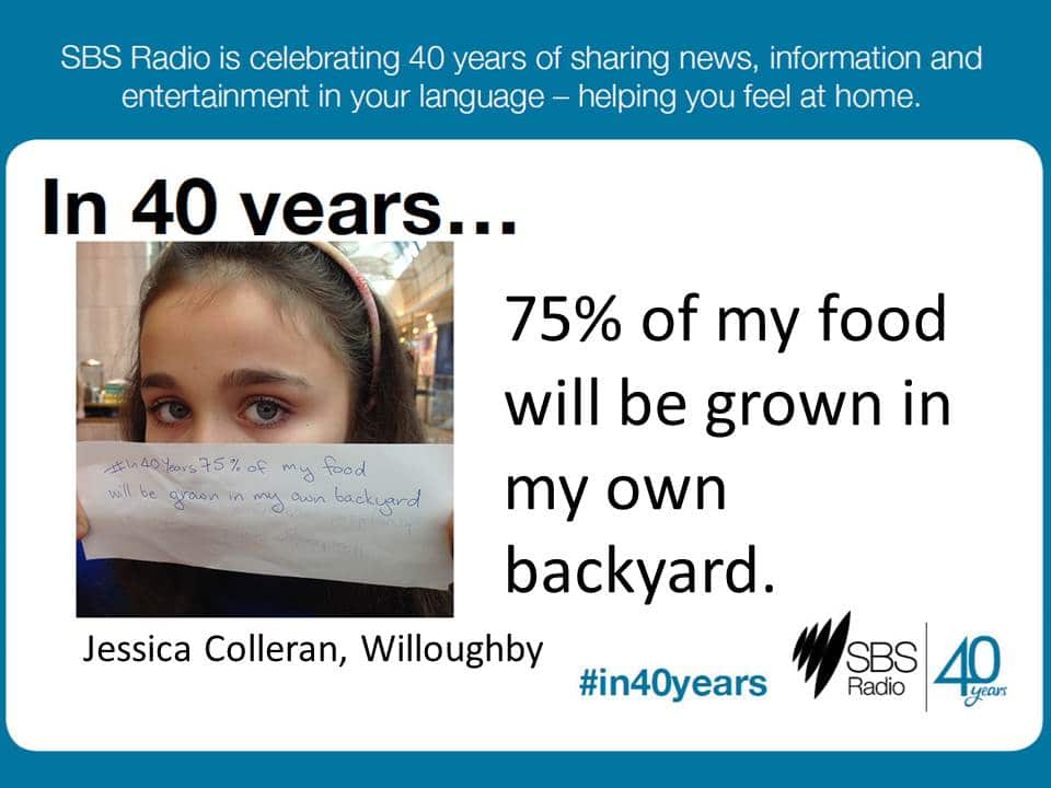 Jessica Colleran, Willoughby #in40years SBS Radio