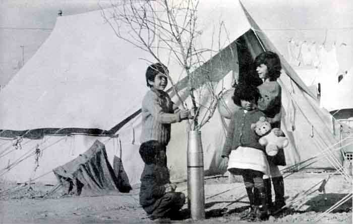 Cypriot children in a refugee camp celebrate Christmas 1974 using dry branches standing upright in empty artillery shells as Christmas trees.