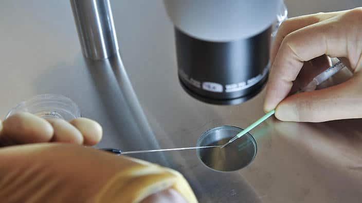 IVF