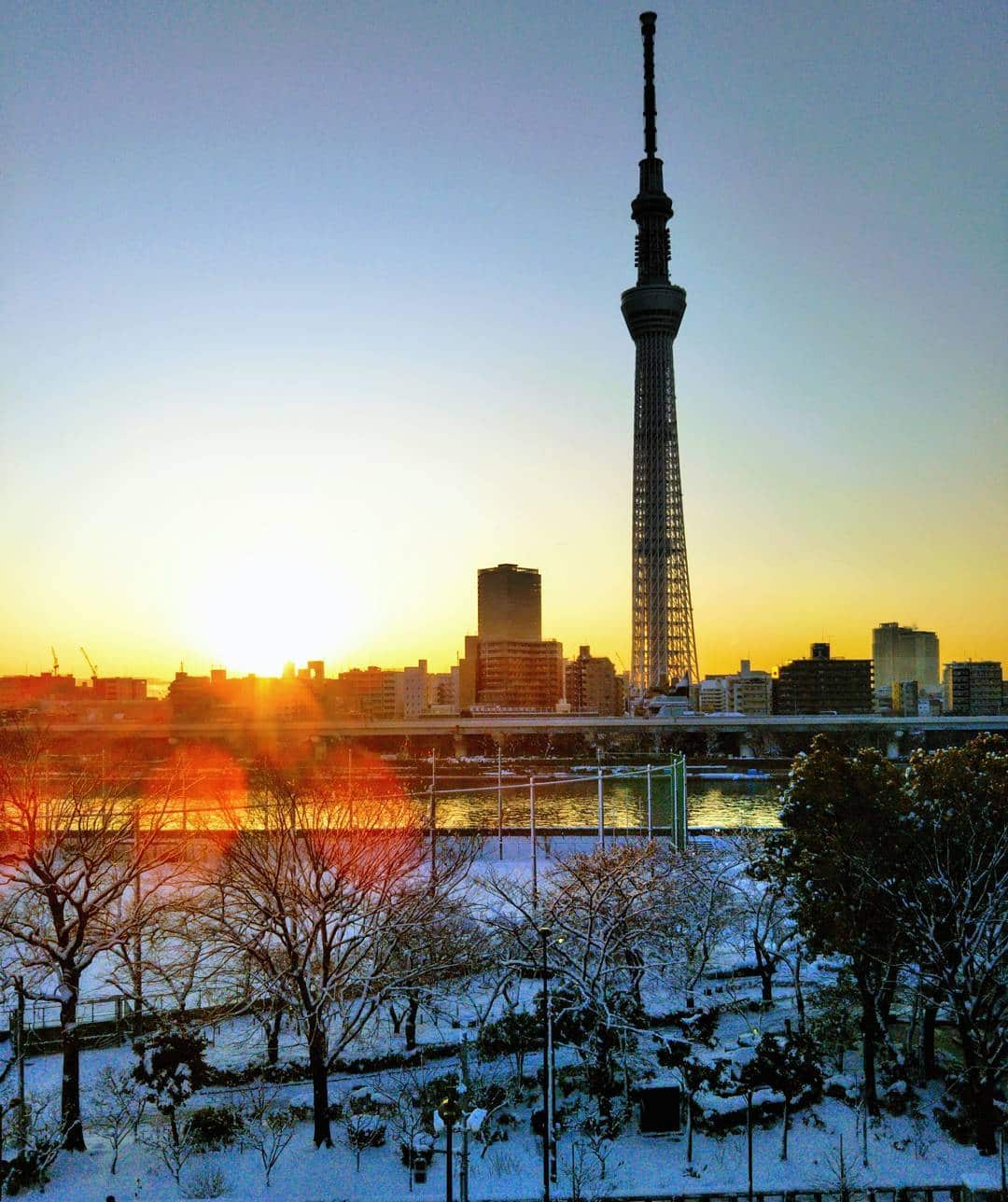 Snowkyo #5