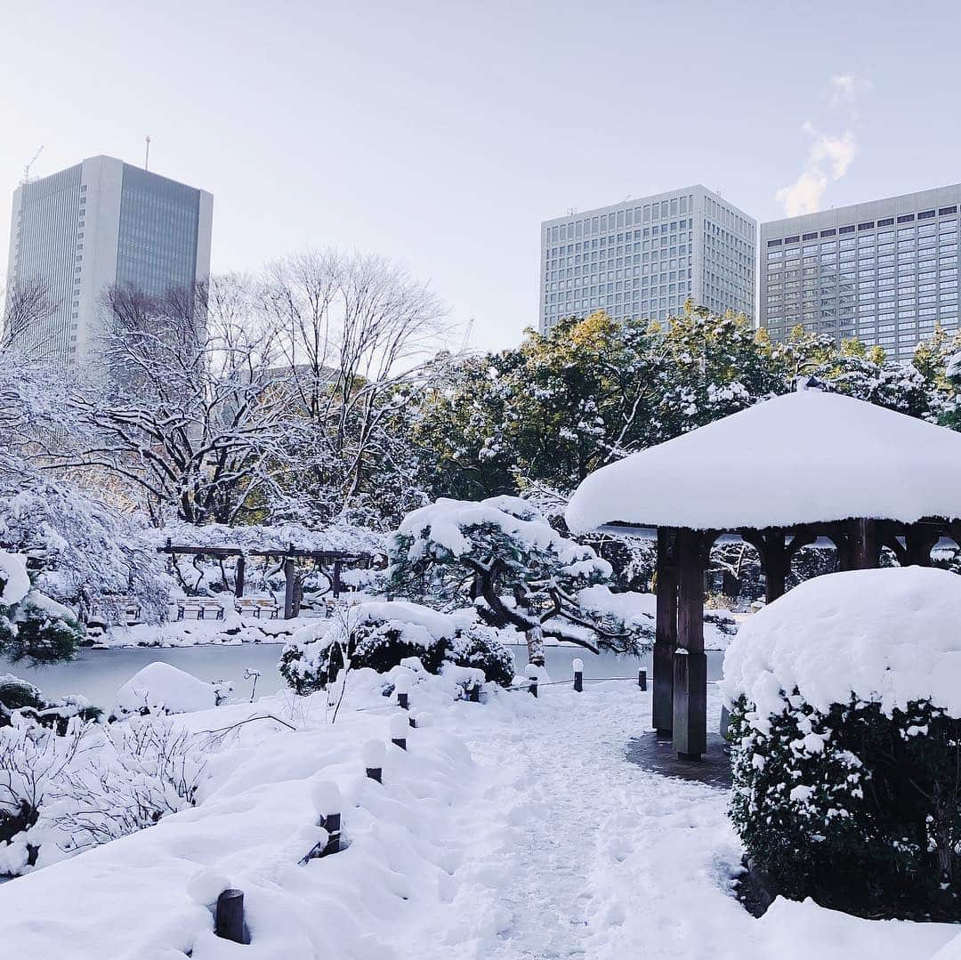 Snowkyo #12