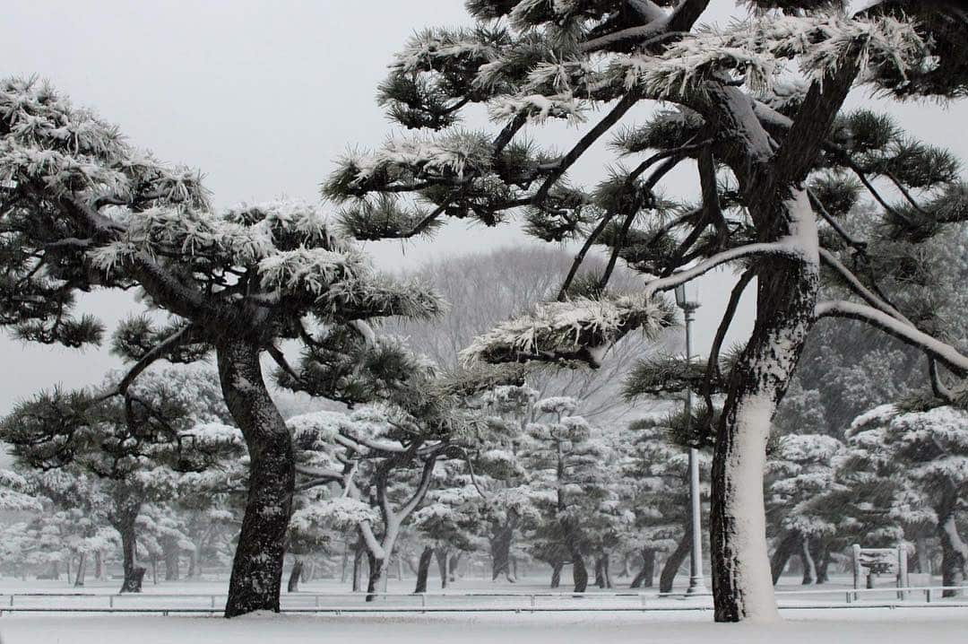 Snowkyo #7