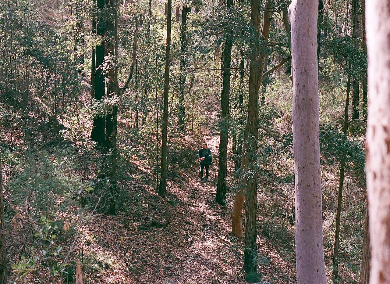 Young man walking through Australian wilderness.