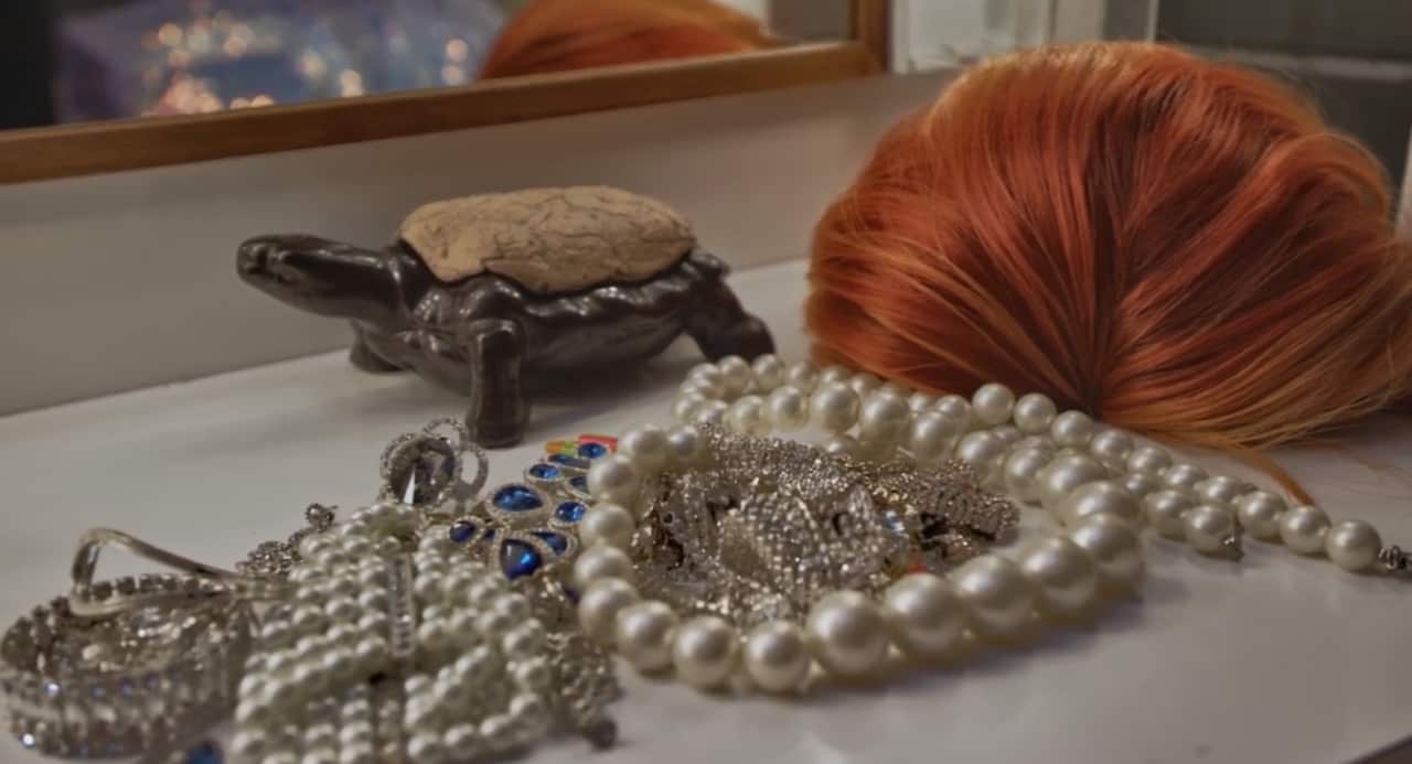 Ceramic turtle family history