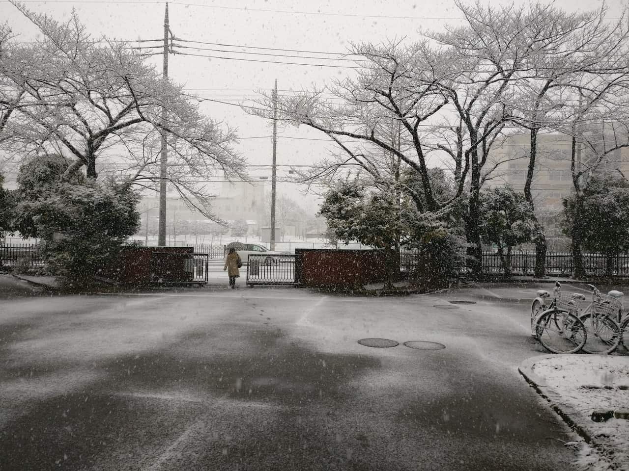 Snowkyo #10