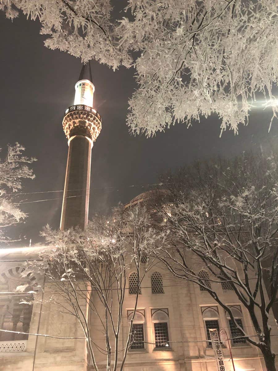 Snowkyo #15