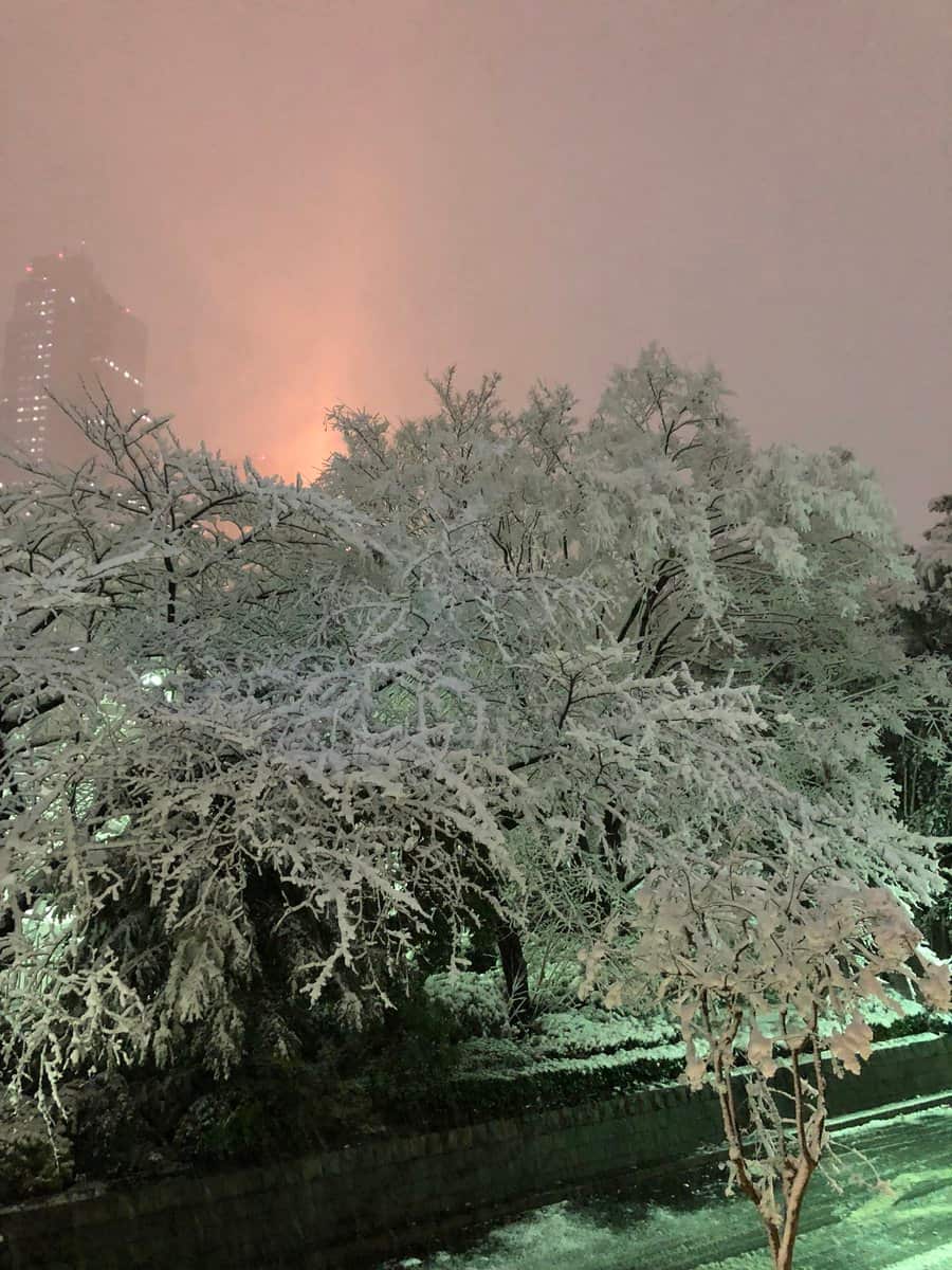 Snowkyo #18