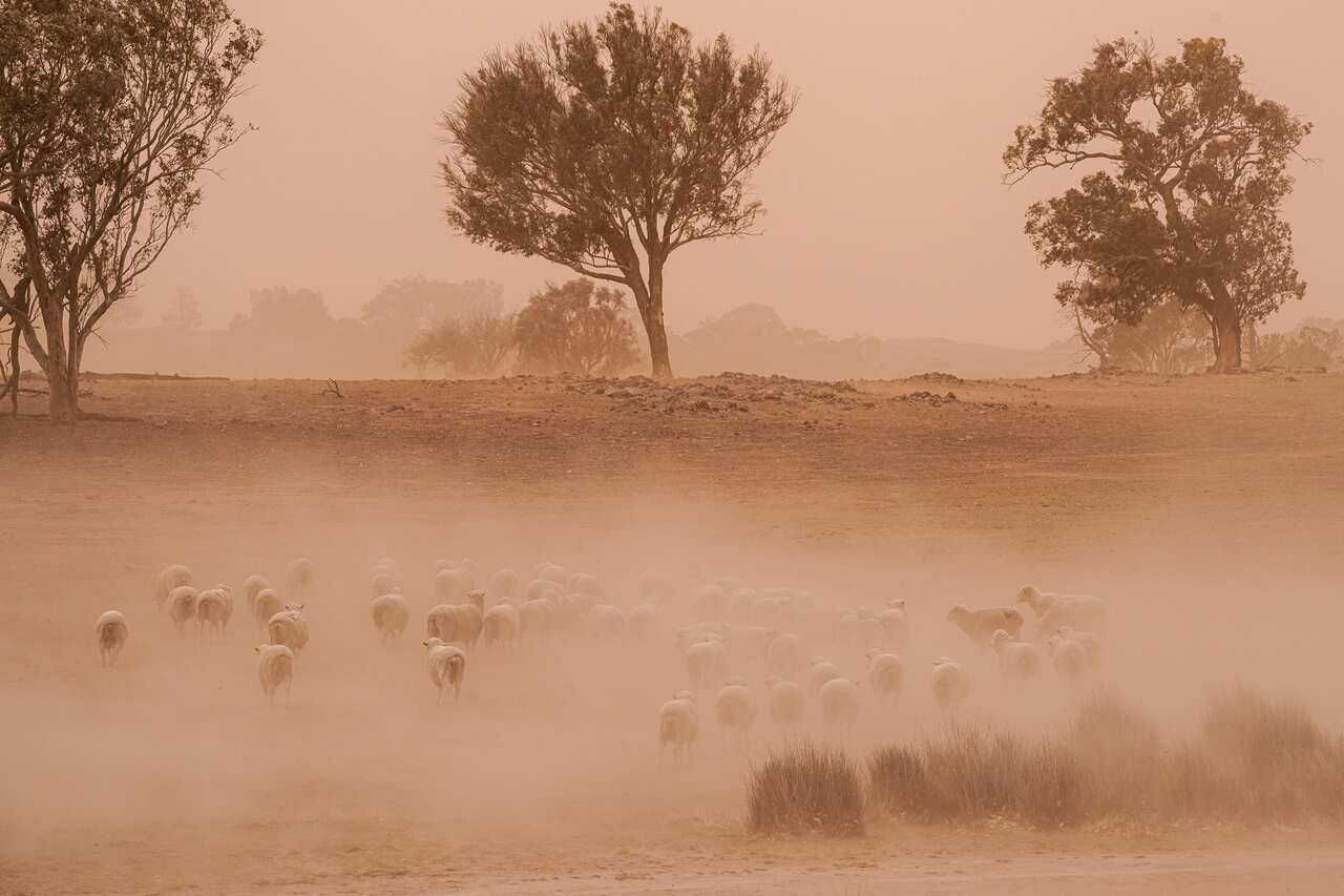 dust storm