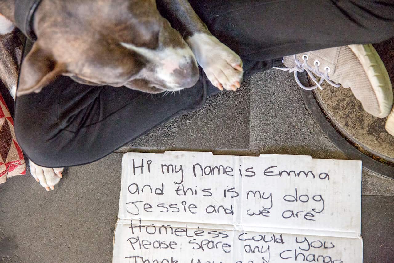 Finding a place to live with a pet in tow is a Herculean struggle, rife with appointments and paperwork.