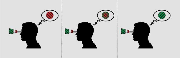 Binocular rivalry task. Author provided.