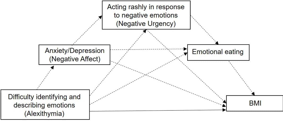 Emotional dysregulation model of BMI. 