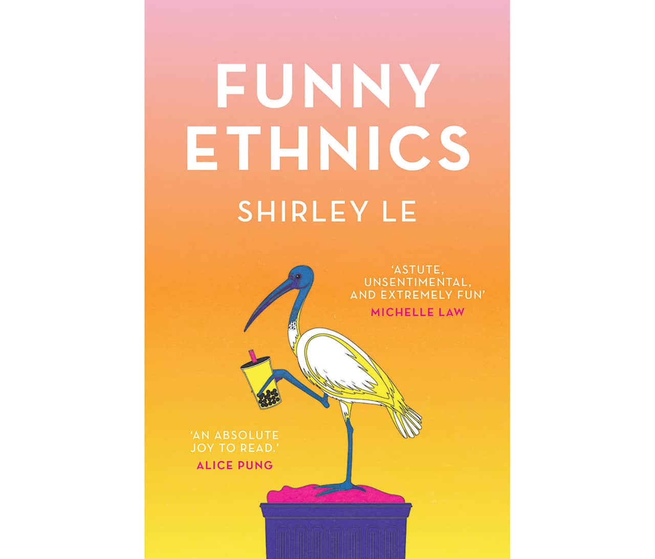 Book cover: Funny Ethnics by Shirley Le.