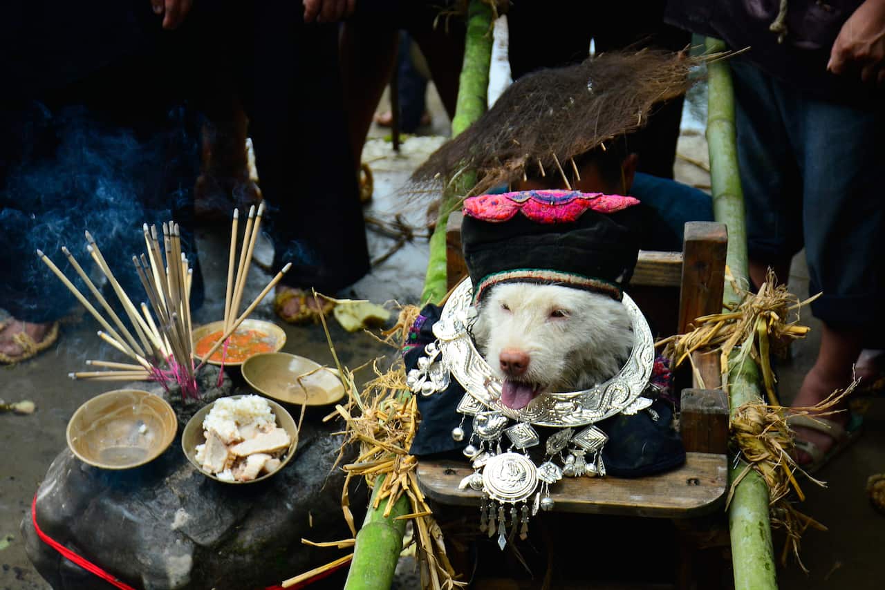 Miao People Honor Dogs In Folk Festival