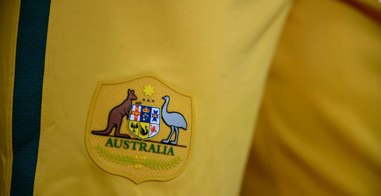 Socceroos shorts