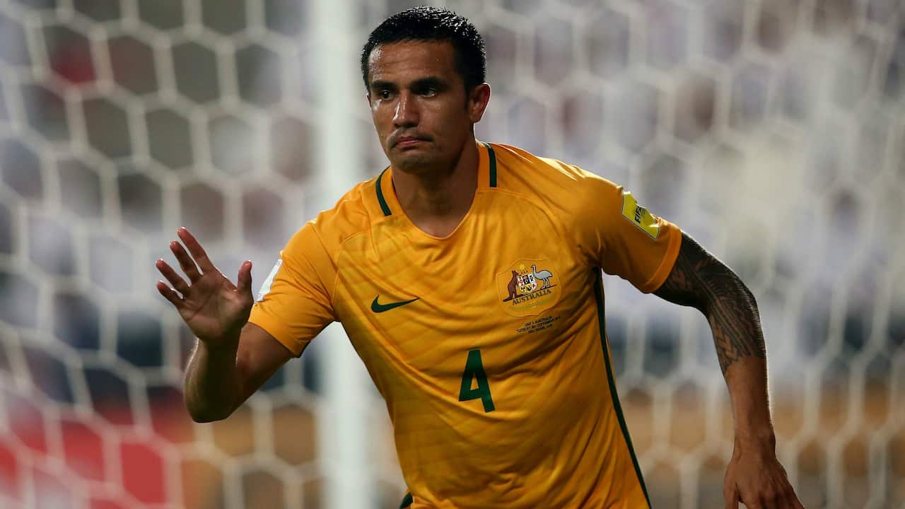 timcahill-cropped_ufay5ft1g4y1hnn96qvnuou4.jpg
