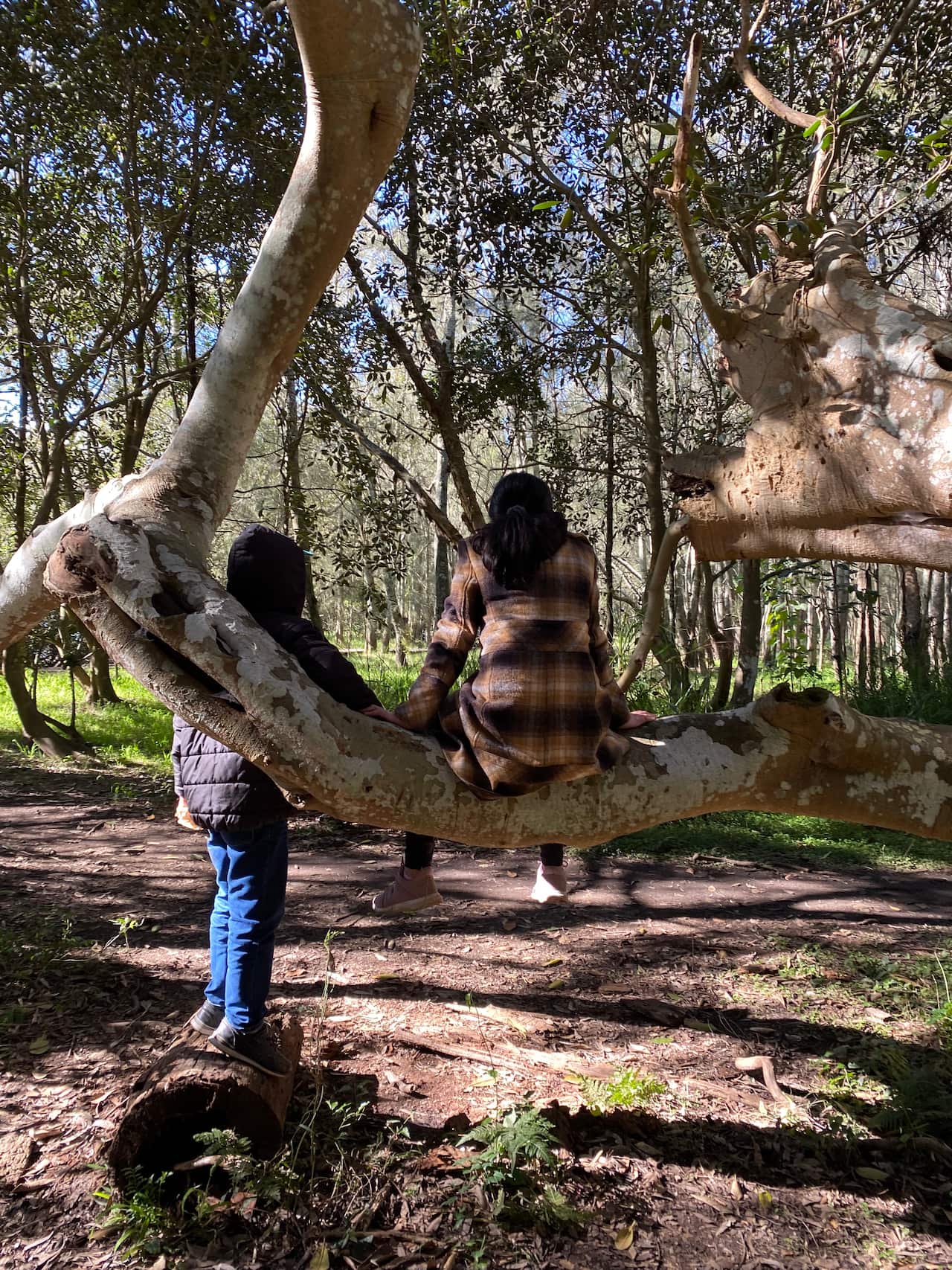 Saman's kids on a bushwalk