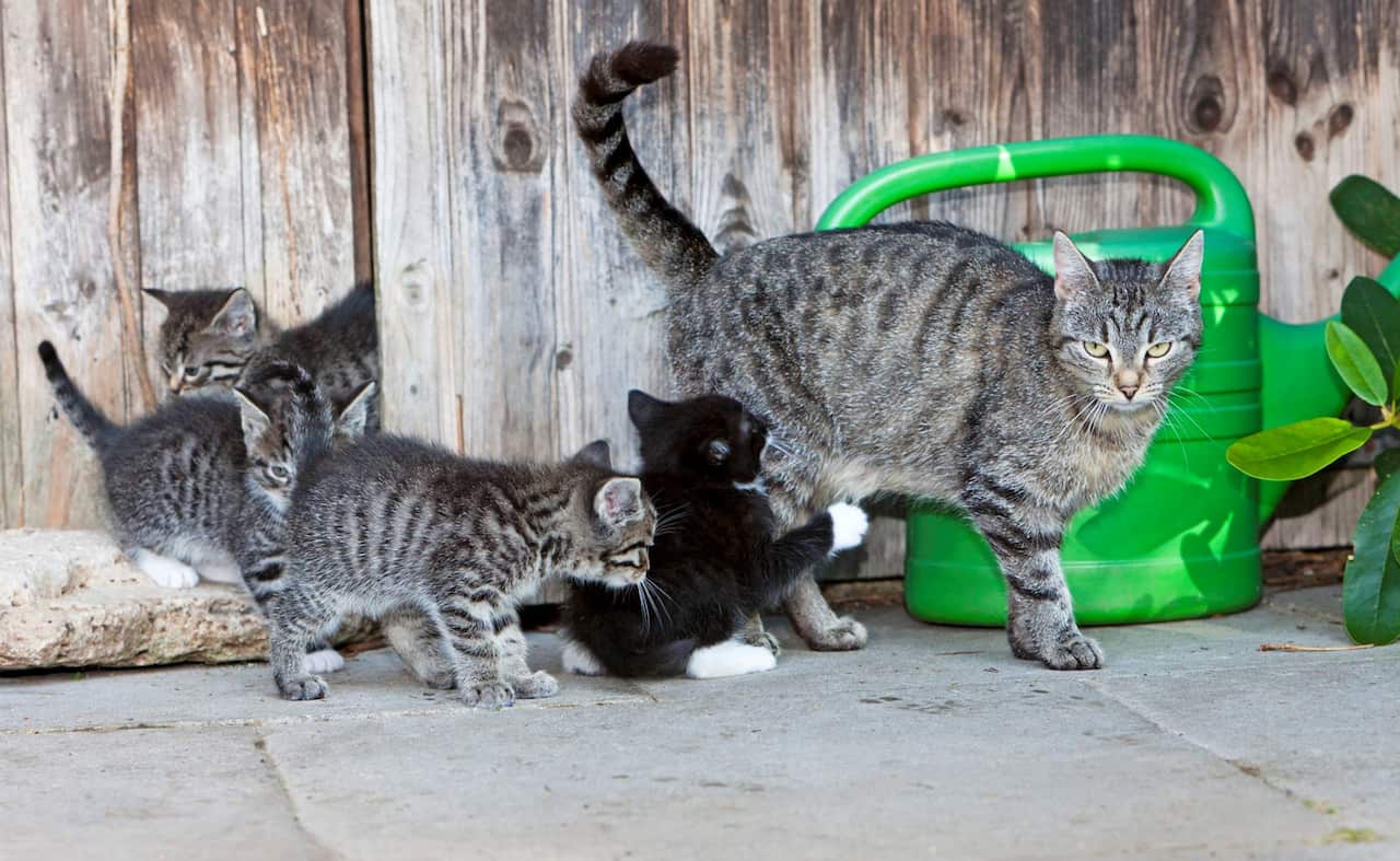 The chemistry of attraction  – weird reasons you might be feeling frisky