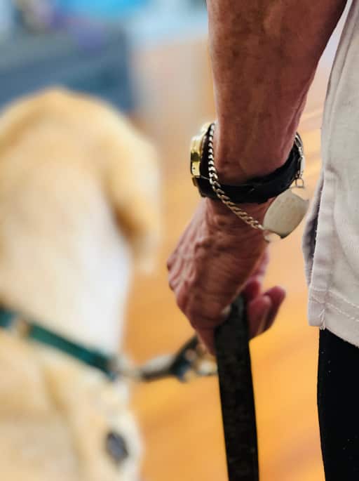Photograph of a hand holding a dog leash attached to a dog.