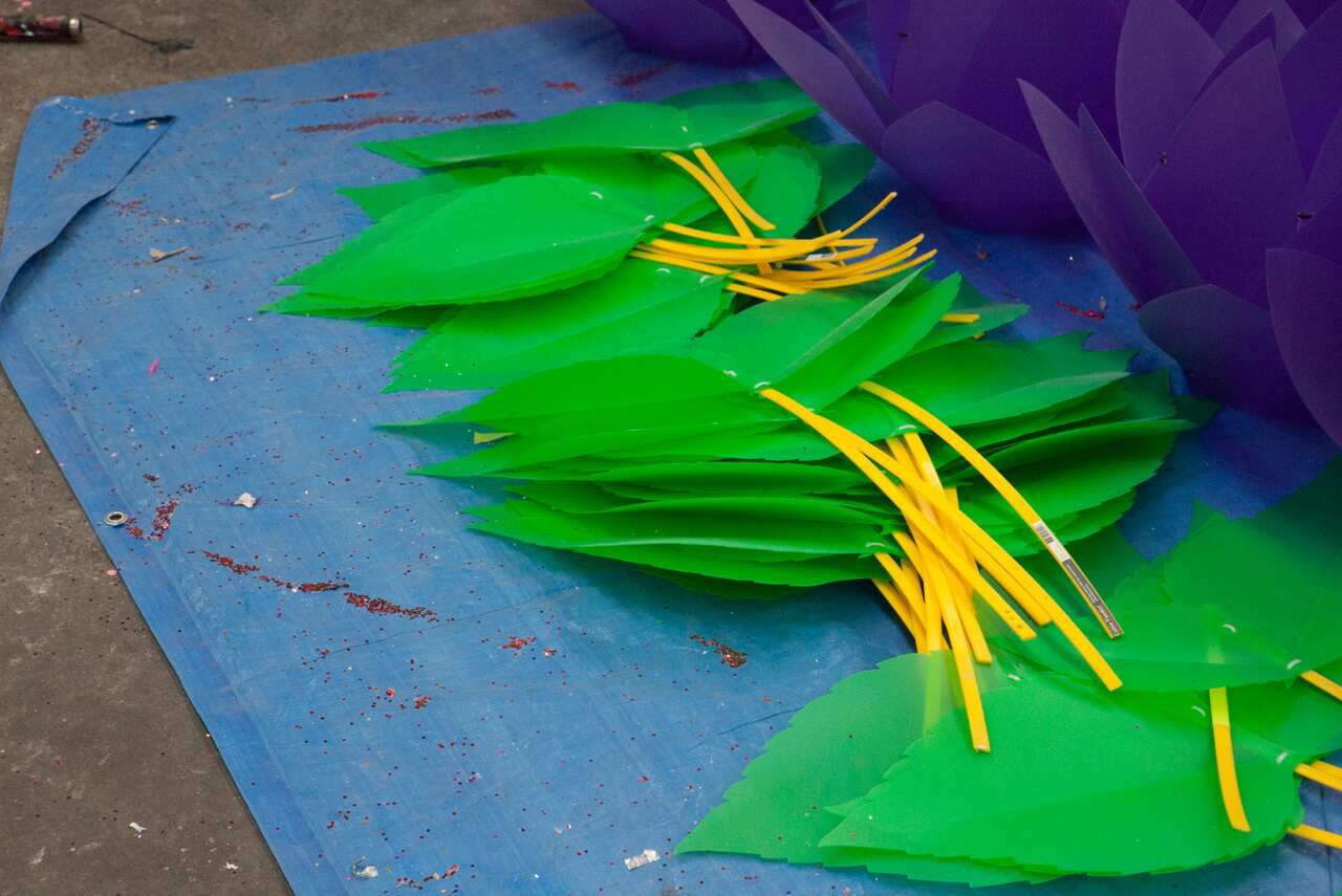 Leaves