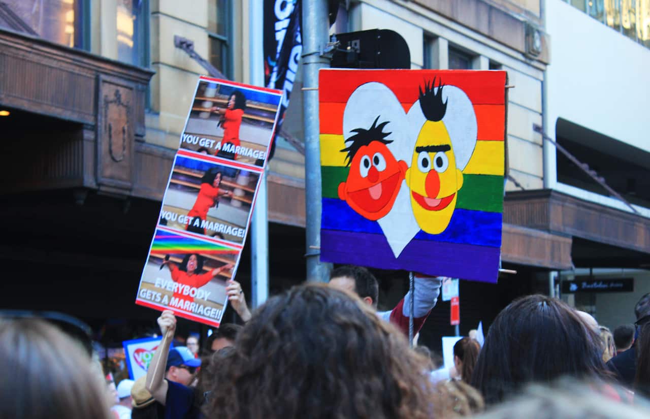 'Bert & Ernie' and 'Oprah' signs at Sydney Marriage Equality rally on September 10th, 2017. (Photo: Chloe Sargeant / SBS)