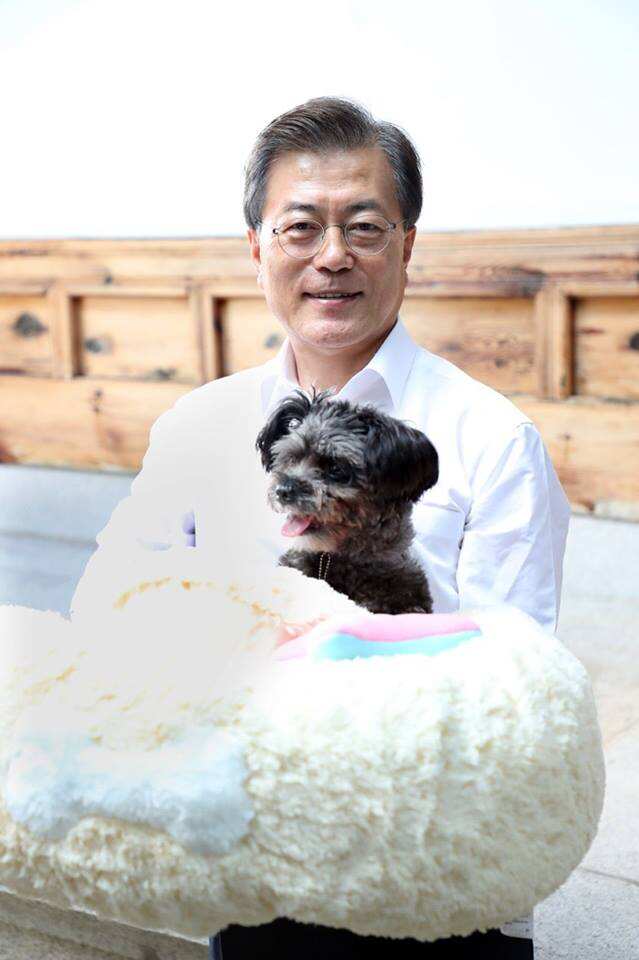 South Korean President Moon Jae-in with Tory