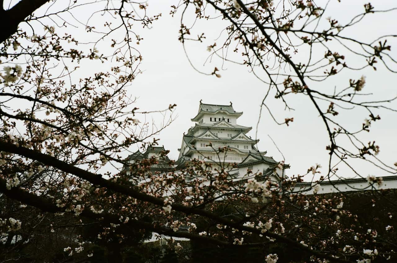 Himeji Castle view from afar.