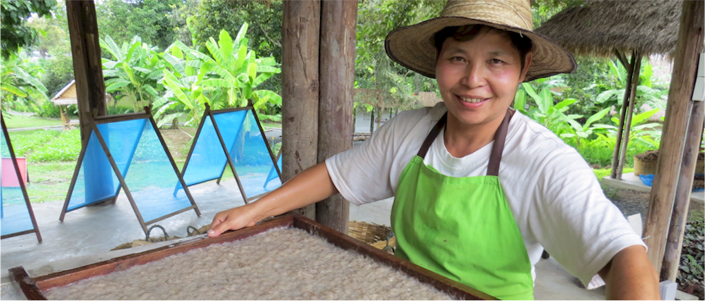 Sustainable Paper from a Unique Source – Thailand