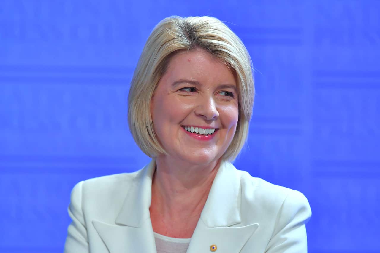 Our Watch Chair Natasha Stott Despoja addresses the National Press Club in Canberra, Wednesday, August 19, 2020. (AAP Image/Mick Tsikas) NO ARCHIVING